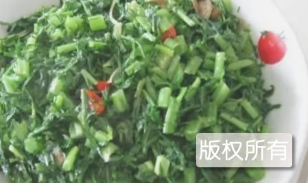 保定春不老