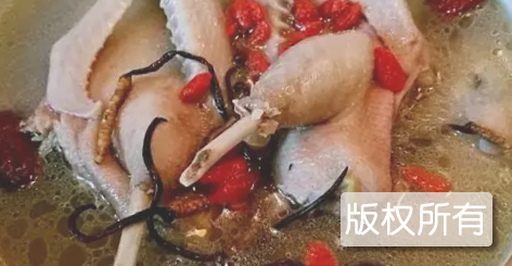 虫草鸭