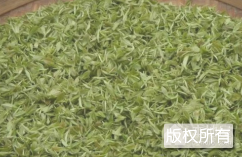 玲珑茶制作技艺