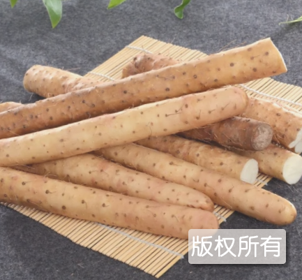 蠡县麻山药