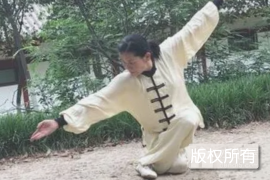 白猿通臂拳