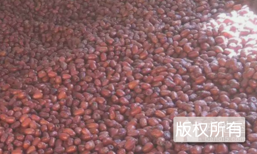霍州红枣