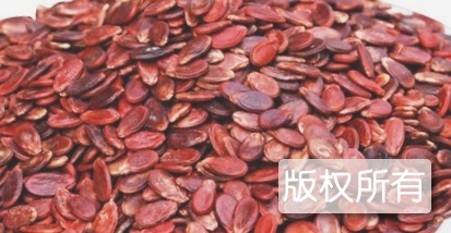 观音阁红瓜子