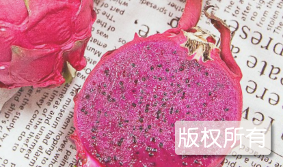 黄江火龙果