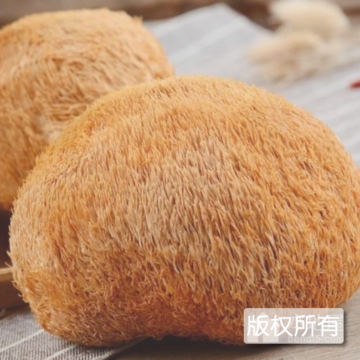 长白山野生猴头