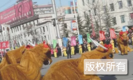 牛斗虎