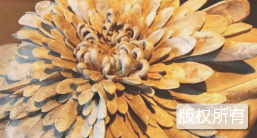 浏阳菊花石