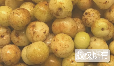 潮州油柑