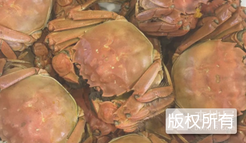 淮安蟹