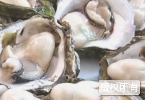 福建牡蛎