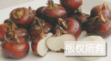 祁东荸荠