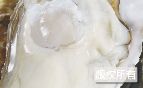 东阁蚝