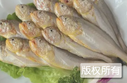 资江鱼