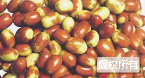 桐城丝枣