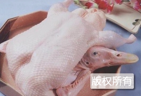 净膛鸭