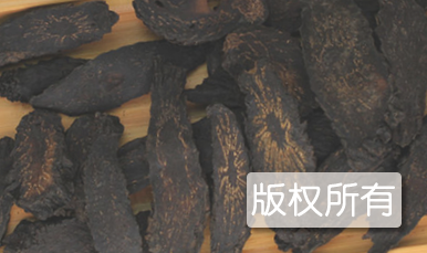 肉苁蓉