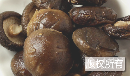 南漳香菇