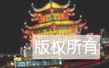 成都灯会