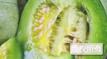 西夏小香瓜