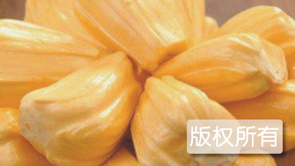 东海岛菠萝蜜