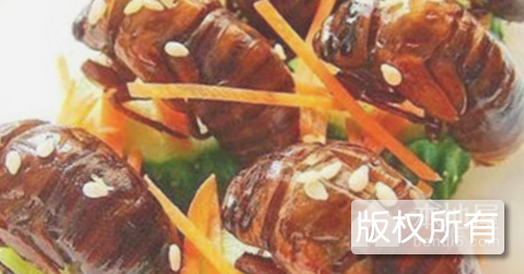 炸金蝉