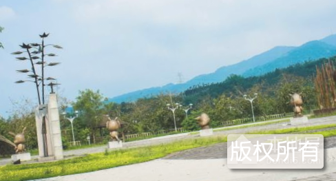 竹山特色文化