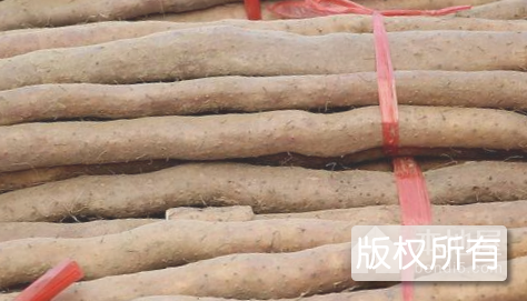 岑溪紫玉淮山