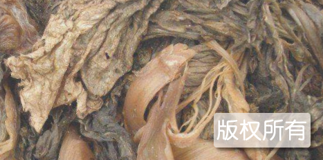 梁化梅菜