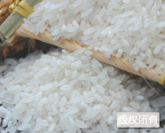 巢湖大米