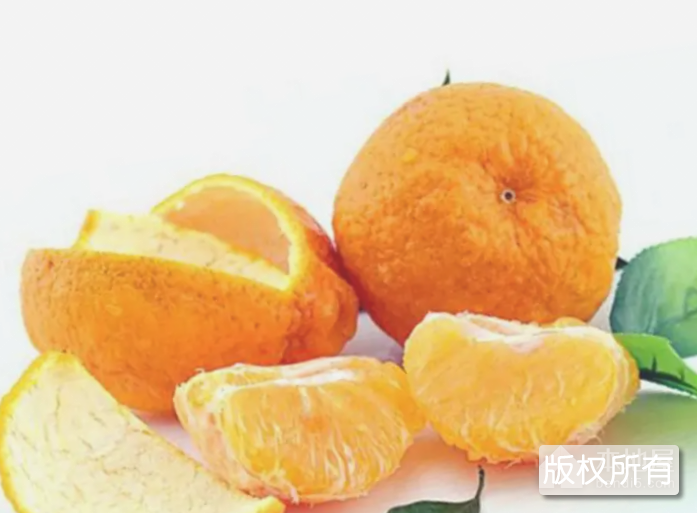 不知火杂柑