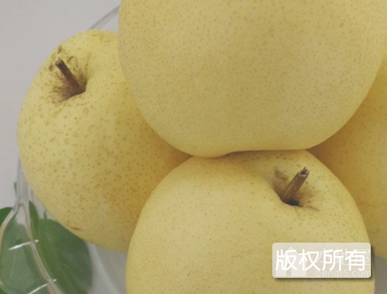 顺义砀山酥梨