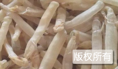 冬瓜干沙虫汤