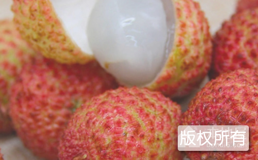 麻垌荔枝