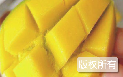 芒芯
