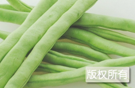 江南四季豆