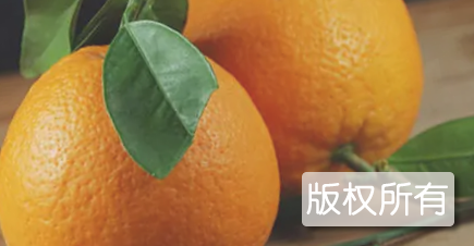 蓬安锦橙