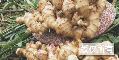 合水、更楼肉姜