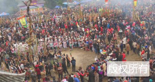 融水古龙坡会