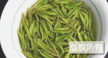 古障白毫茶