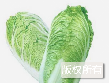 许家桥大白菜