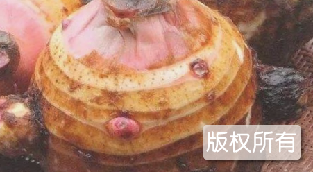 芋艿头