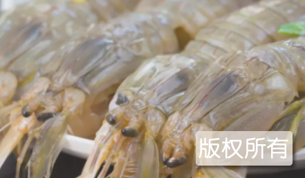 姜盐琵琶虾