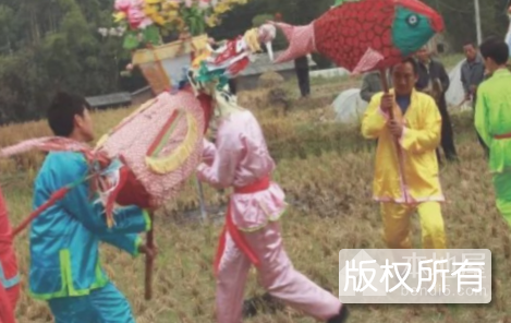 靖安茶花灯