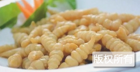 贺兰螺丝菜