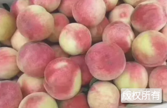 五里蜜桃