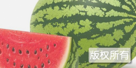 寒亭西瓜