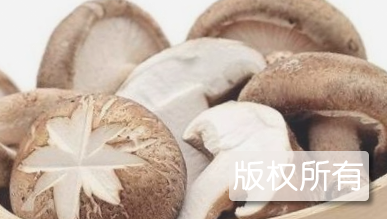上思香菇