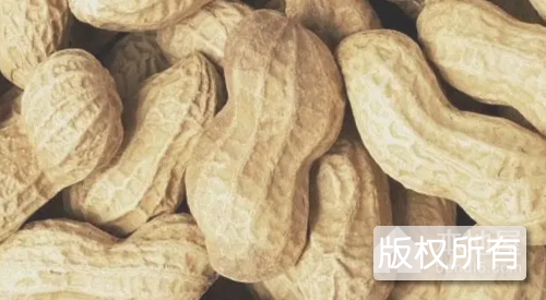泥脚杆花生