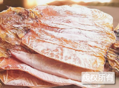 海南鱿鱼