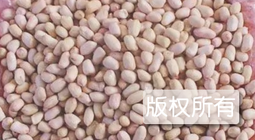 东路花生